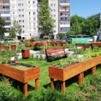 Ogródek Seniora przy ul. Bairda