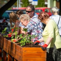 Ogródek Seniora przy ul. Bairda