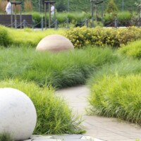 Park przy ul. Bałtyckiej/Piłsudskiego