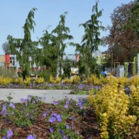 Park przy ul. Bałtyckiej/Piłsudskiego