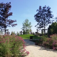 Park Ordona/Chlewińska