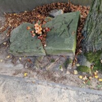 Rekonstrukcja nagrobka powstańców styczniowych