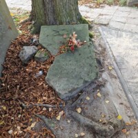 Rekonstrukcja nagrobka powstańców styczniowych