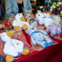 I Grodziska Seniorada