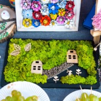 I Grodziska Seniorada