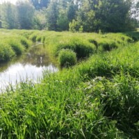 Zieleń wokół Grodziskiej Oczyszczalni Ścieków (Park u zbiegu rzek)