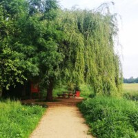 Zieleń wokół Grodziskiej Oczyszczalni Ścieków (Park u zbiegu rzek)