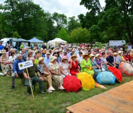 Dworek Chelmonskiego