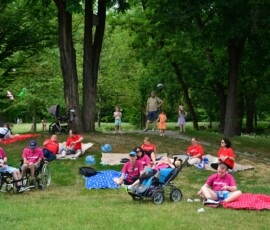 Dworek Chelmonskiego